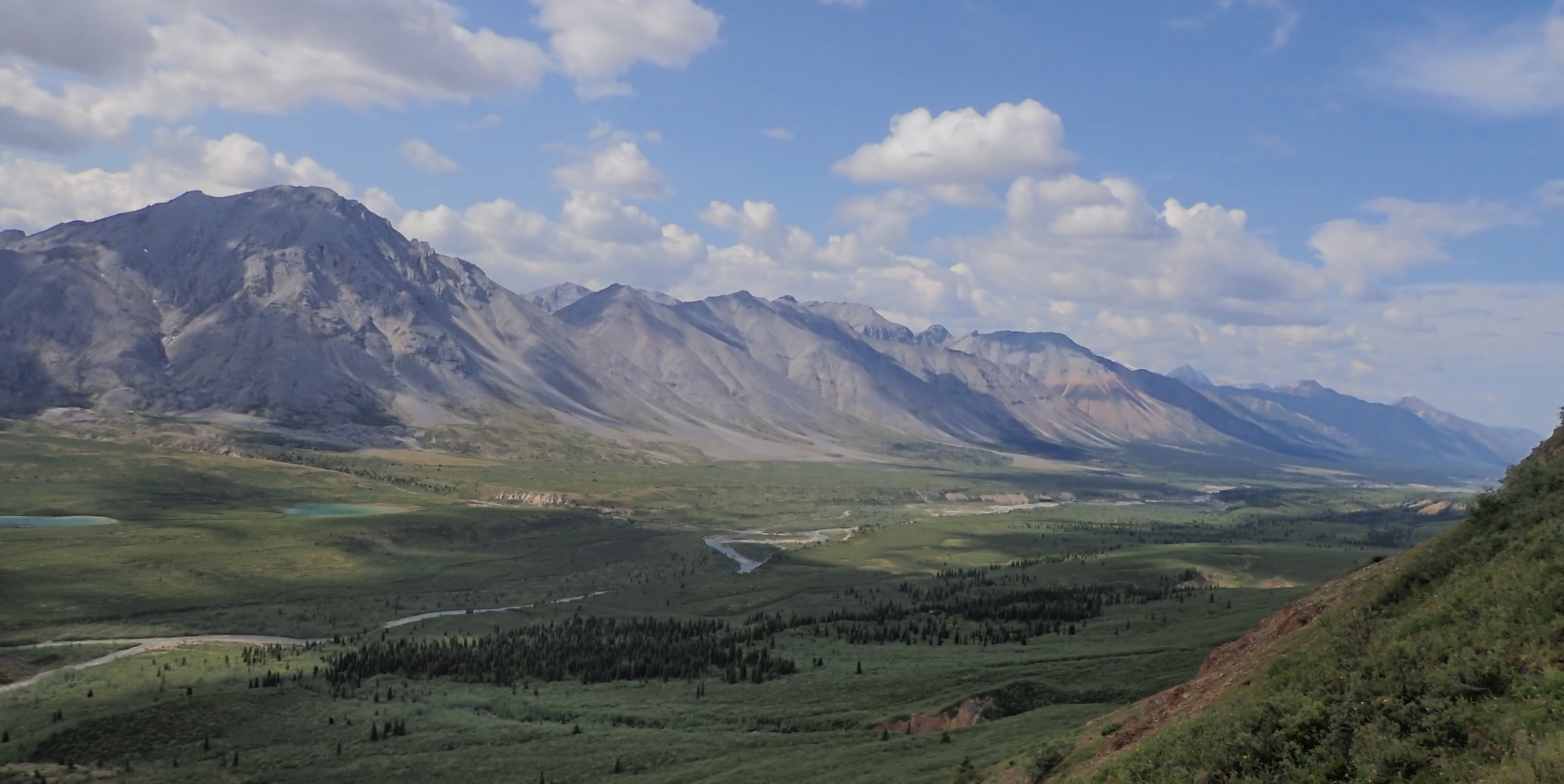 Photo of a path in the wilderness