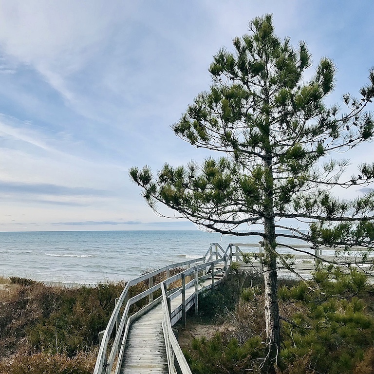 Boardwalk heading to a lake