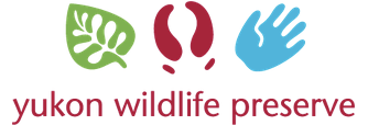 Yukon Wildlife Preserve logo